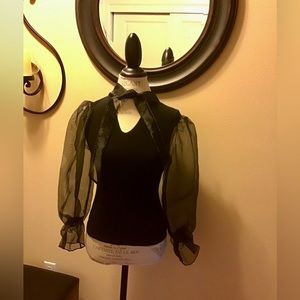 BEAUTIFUL TINY WILLOW TOP. SHEER SLEEVES W/ELASTIC CUFFS. EXCELLENT CONDITION
